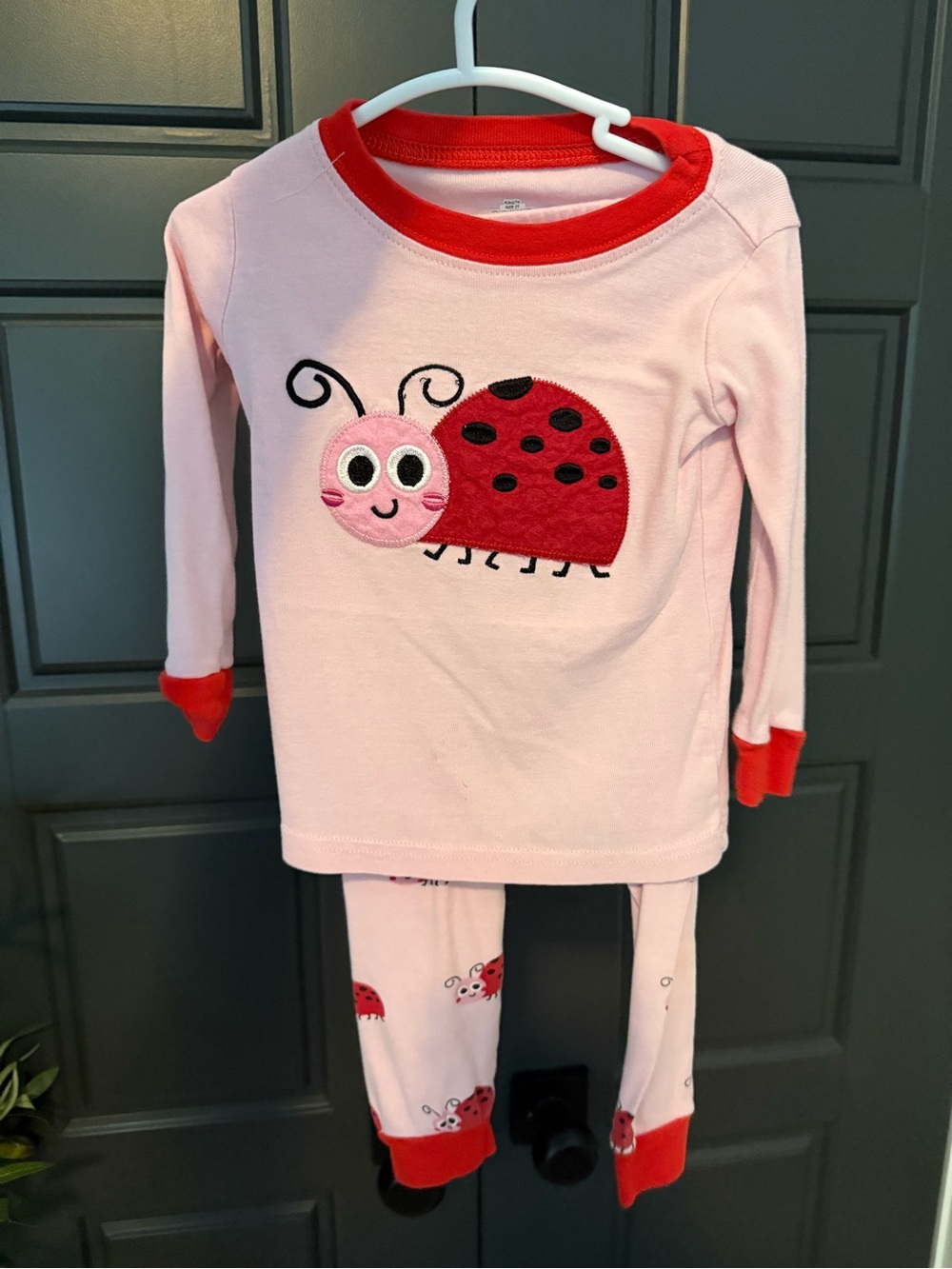 Amazon Pink and Red Ladybug Pajama Set 2T